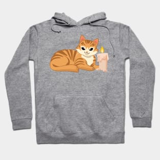 Easily Distracted by Cats and Candles Hoodie